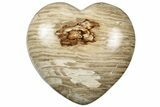 Polished Petrified Wood Heart - Australia #314469-1